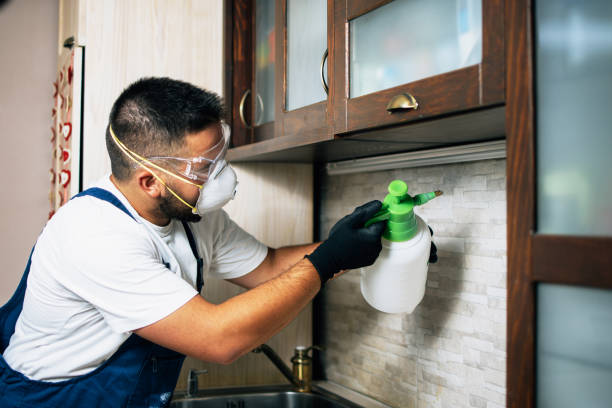 Best Pest Control for Businesses  in Kyle, TX