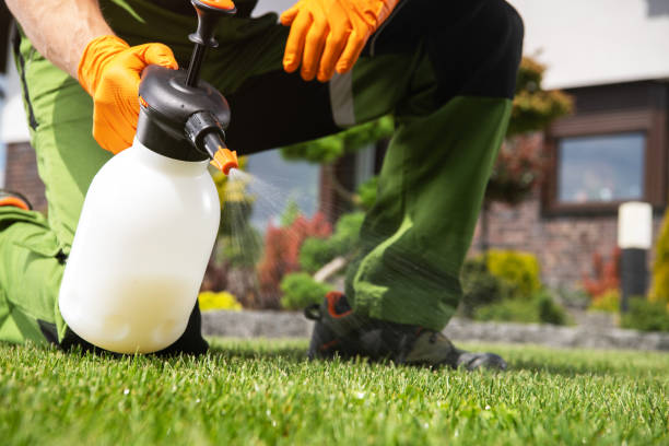 Best Best Pest Control Companies  in Kyle, TX