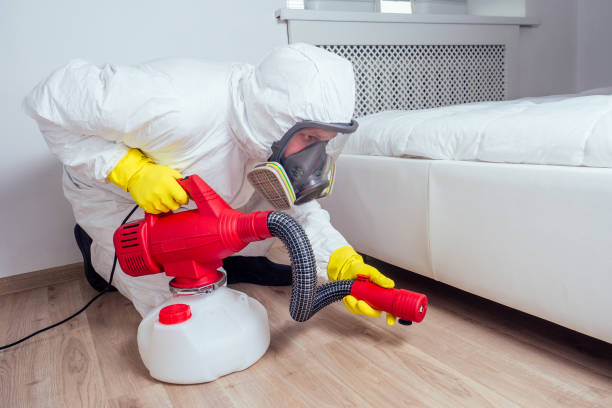 Pest Prevention Services in Kyle, TX