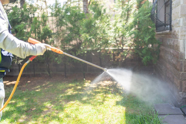 Best Wildlife Control Services  in Kyle, TX