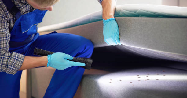 Best Pest Prevention Services  in Kyle, TX