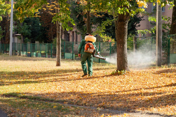 Best Flea Control Services  in Kyle, TX