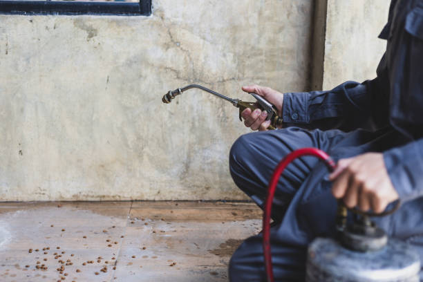 Best Pest Prevention Services  in Kyle, TX